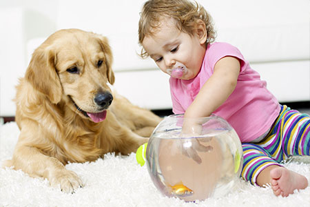 Baby girl with dog sitting on carpet playing in fish bowl.